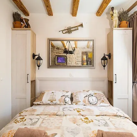 Apartment Domus Maximus