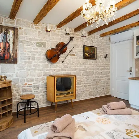 Apartment Domus Maximus *